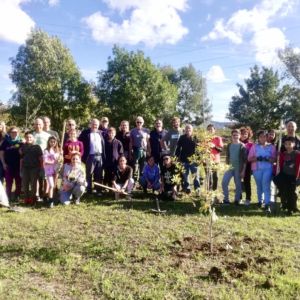 120 alberi in più al Mollungo con il progetto Arboreo